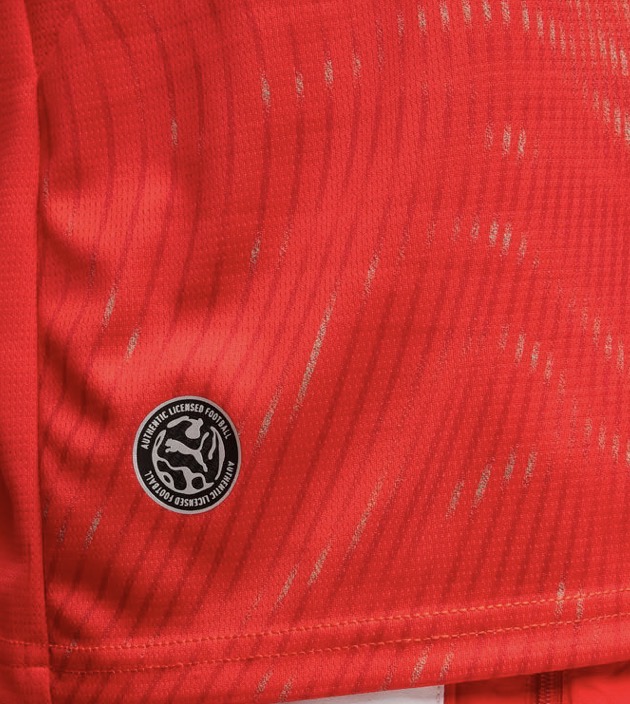 Jersey Puma Suiza Local 2026 / Versión Aficionado para Caballero