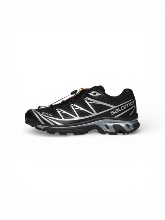 Salomon XA Pro XT-6 goretex